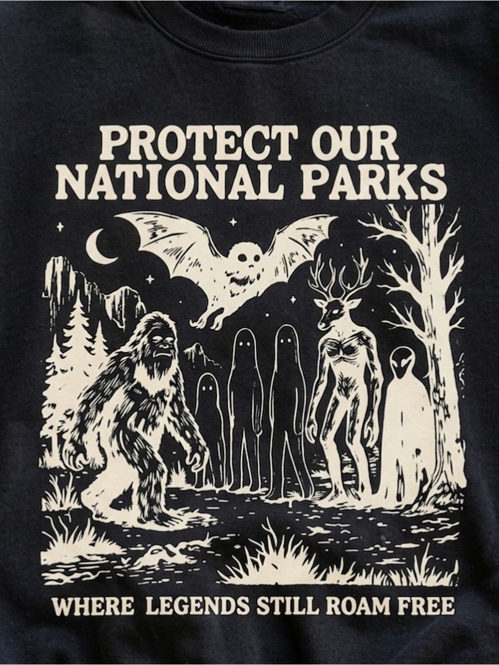 Gildan Protect Our National Parks Black Graphic Sweatshirt - Picture 2 of 2